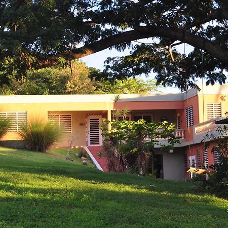 Isla Hermosa Guesthouse 别克斯 外观 照片