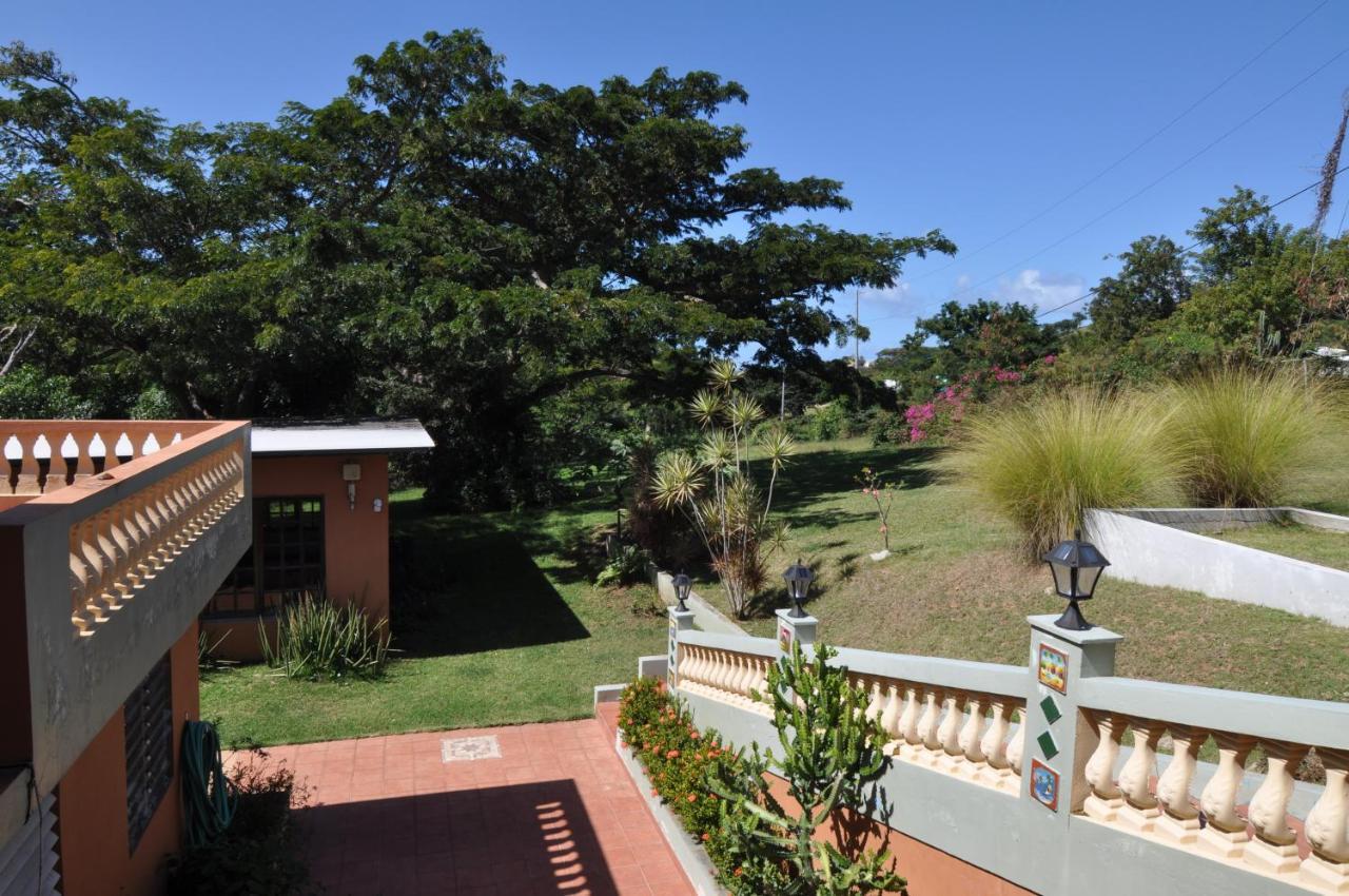 Isla Hermosa Guesthouse 别克斯 外观 照片